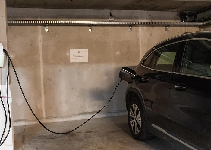 202 ソール・オスゴール